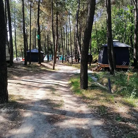 Ecoclub וארנה