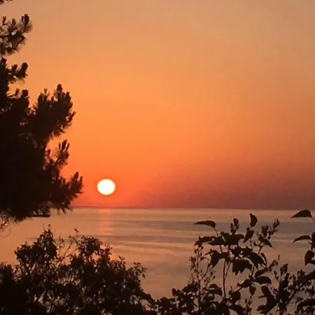 Ecoclub * فارنا