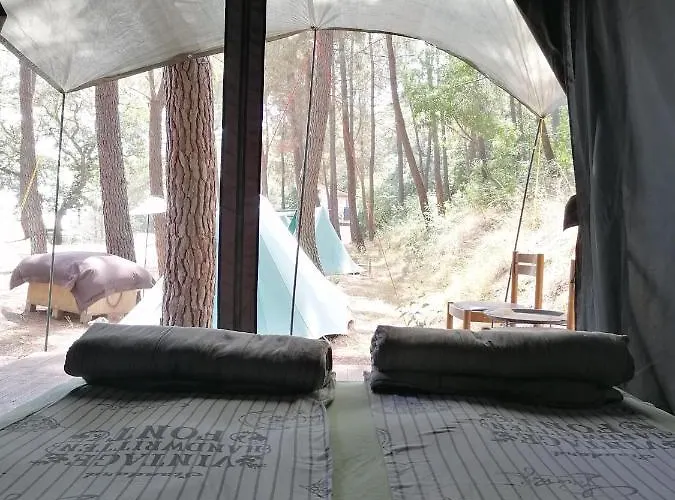 Къмпинг Ecoclub