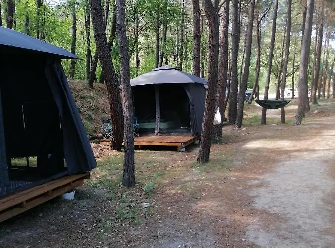 Ecoclub * Варна