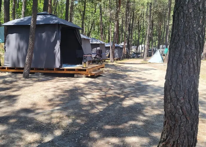 Ecoclub * Варна